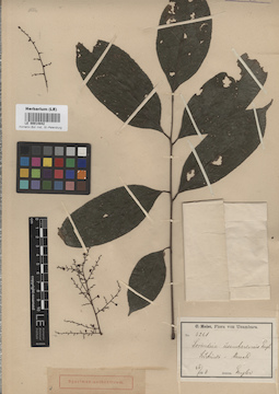 LE 00014842
