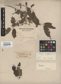 LE 00014858
