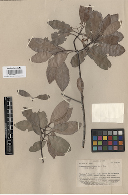 LE 00014861