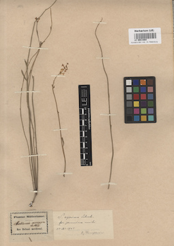 LE 00014864