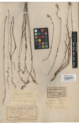 LE 00014865