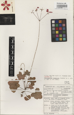 LE 00014908