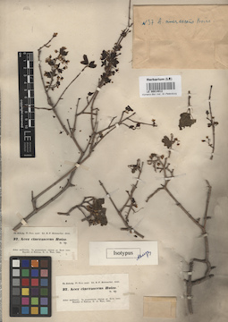 LE 00014912