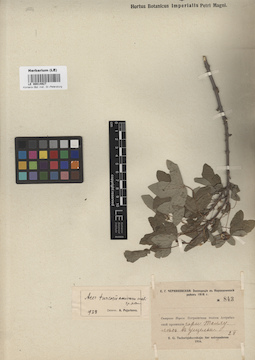 LE 00014927