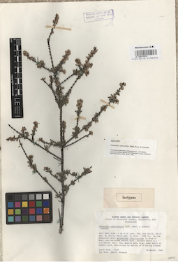 LE 00014974