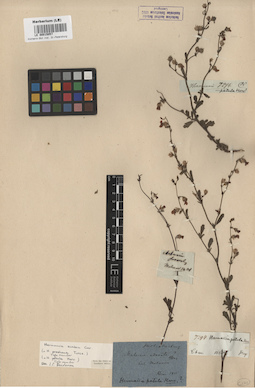 LE 00015057