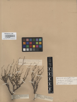 LE 00015061