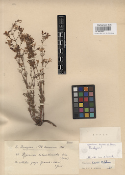 LE 00015097