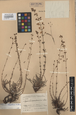 LE 00015104