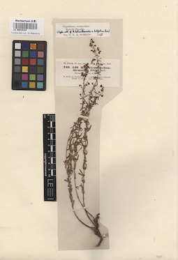 LE 00015124