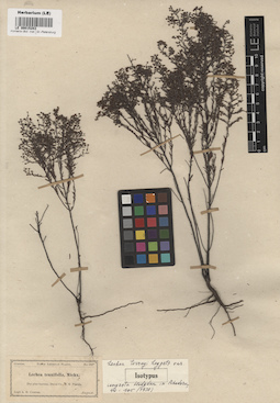 LE 00015283