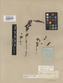 LE 00015287