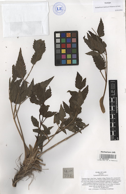LE 00015322