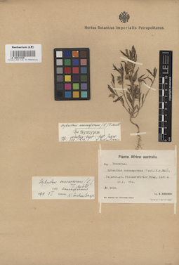 LE 00015326