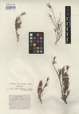 LE 00015334