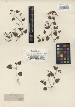 LE 00015340