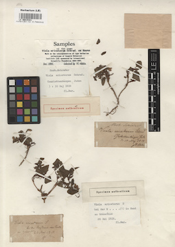LE 00015341