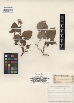 LE 00015355