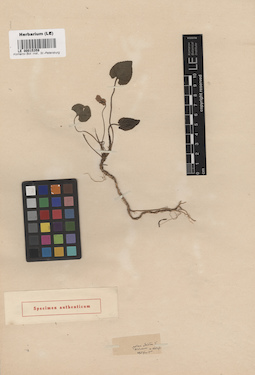 LE 00015359