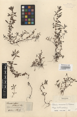 LE 00015385