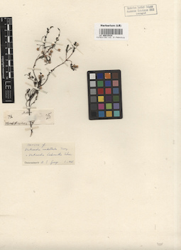 LE 00015424
