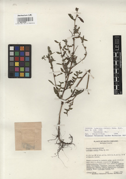 LE 00015458
