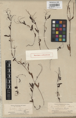 LE 00015473
