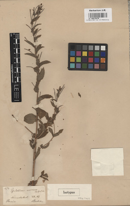 LE 00015476