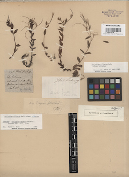 LE 00015478
