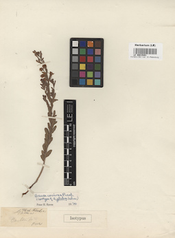 LE 00015491
