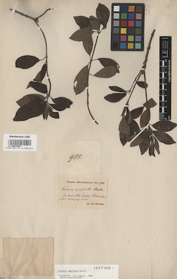 LE 00015497