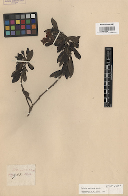 LE 00015498