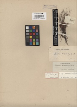 LE 00015539