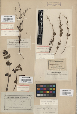 LE 00015601