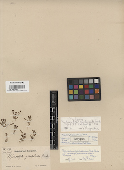 LE 00015624