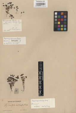 LE 00015627