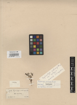 LE 00015628