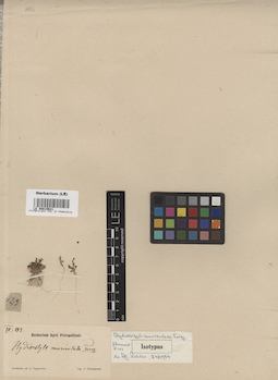 LE 00015631