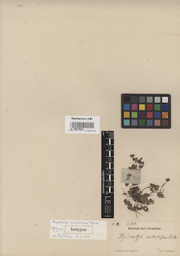 LE 00015634