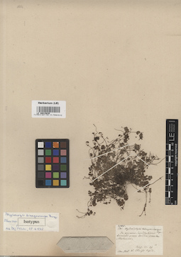 LE 00015635