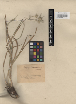 LE 00015649
