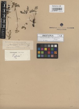LE 00015673