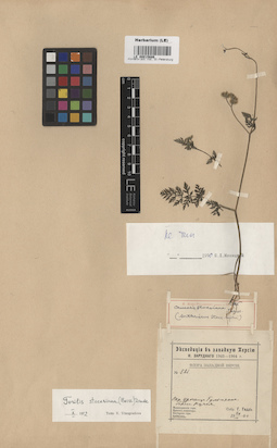 LE 00015686