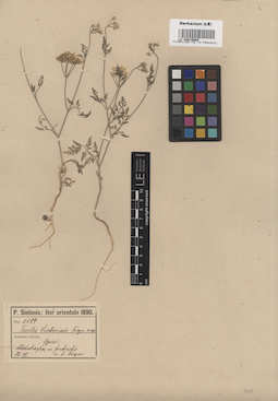 LE 00015689