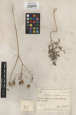 LE 00015695