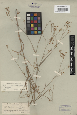 LE 00015702