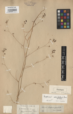 LE 00015703