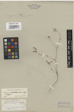 LE 00015705