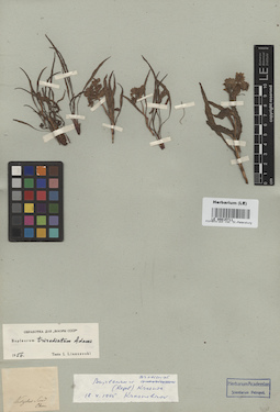 LE 00015711