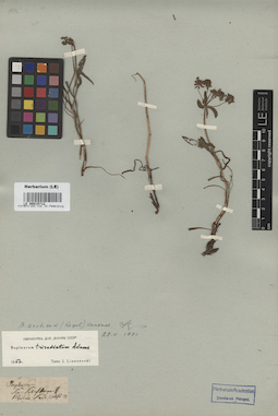 LE 00015712